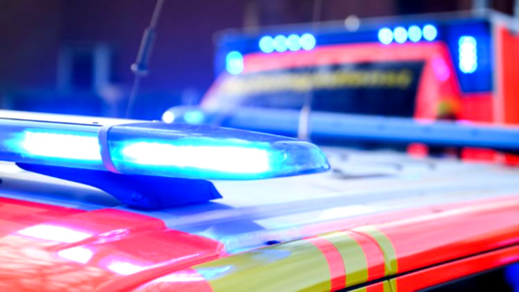 Unfall mit drei Verletzten – Fahrer und Hund fliehen vom Unfallort
